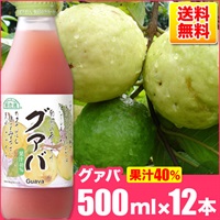 順造選　グァバ　（果汁40％グァバジュース）500ml×12本入りセット【送料無料】
