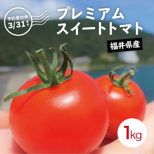 【予約注文受付中】（4月14日ごろ出荷予定） 福井県産 プレミアムスイートトマト