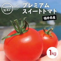 【予約注文受付中】（4月14日ごろ出荷予定） 福井県産 プレミアムスイートトマト