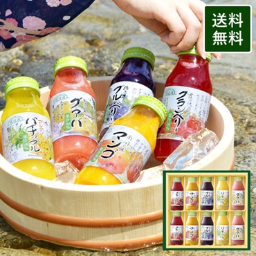 夏のフルーツジュースセット　180ml×10本（クランベリー、マンゴ、ブルーベリー、パイナップル、グァバ　180ml×各2本）　ギフトシリーズ　【180_10】