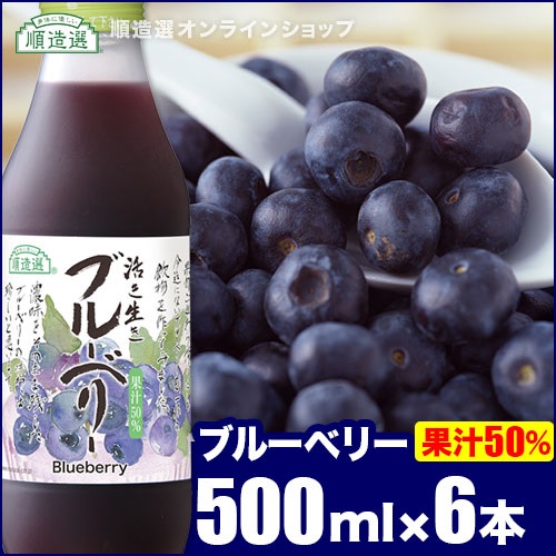 順造選　ブルーベリー　（果汁50％ブルーベリージュース）500ml×6本入りセット