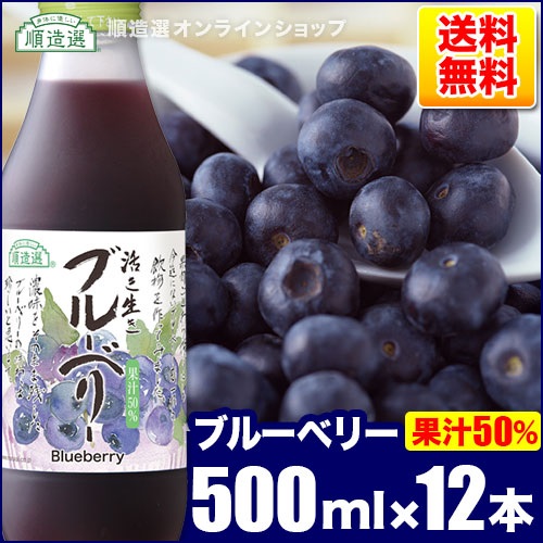 順造選　ブルーベリー（果汁50％ブルーベリージュース）500ml×12本入りセット【送料無料】