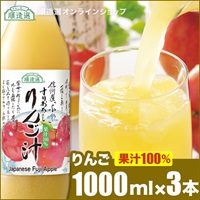 順造選　すりおろしりんご汁 1000ml×3本入りセット（果汁100％ストレートリンゴジュース）