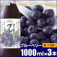 順造選　ブルーベリー（果汁50％ブルーベリージュース）1000ml×3本入りセット