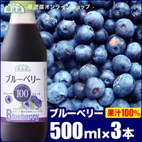 順造選　ブルーベリー100（果汁100％ストレートブルーベリージュース）500ml×3本入りセット