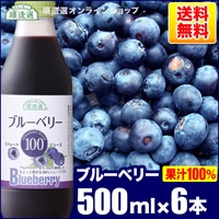 順造選　ブルーベリー100（果汁100％ストレートブルーベリージュース）500ml×6本入りセット【送料無料】