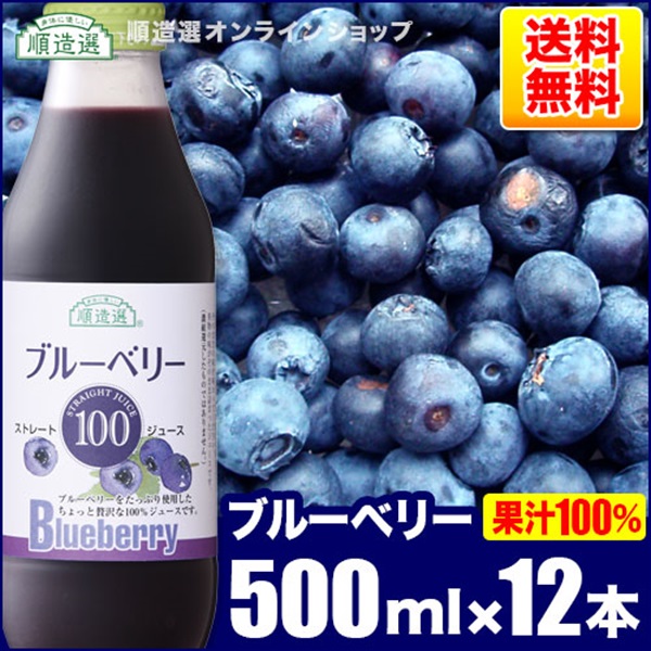 順造選　ブルーベリー100（果汁100％ストレートブルーベリージュース）500ml×12本入りセット【送料無料】
