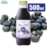 順造選　ブルーベリー100（果汁100％ストレートブルーベリージュース）500ml【セット本数をお選びください】