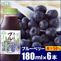 順造選　ブルーベリー　（果汁50％ブルーベリージュース）180ml×6本入りセット