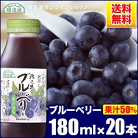 順造選　ブルーベリー　（果汁50％ブルーベリージュース）180ml×20本入りセット