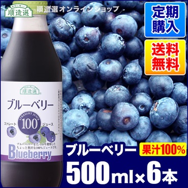 【定期購入】順造選　ブルーベリー100（果汁100％ストレートブルーベリージュース）500ml×6本入りセット【送料無料】