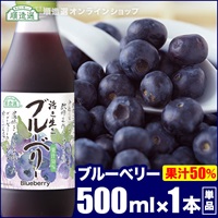 順造選　ブルーベリー　（果汁50％ブルーベリージュース）500ml×1本