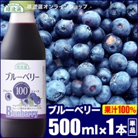 順造選　ブルーベリー100（果汁100％ストレートブルーベリージュース）500ml×1本