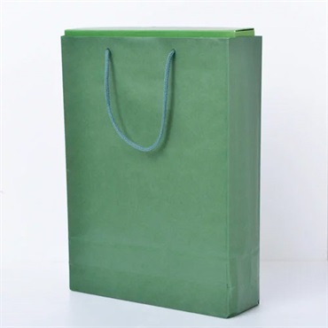 【ギフト袋】紙袋 手提げ ジュースギフトボックス180ml 10本・15本共通　横330×マチ100×高450mm グリーン HEIKO カラーチャームバック２才