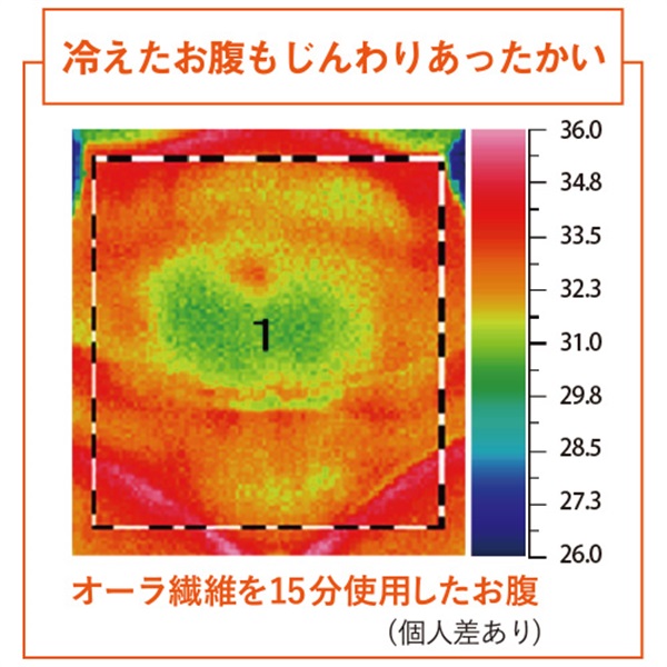 温活,オーラ岩盤健康ベスト,極,ブラック,富士パックス