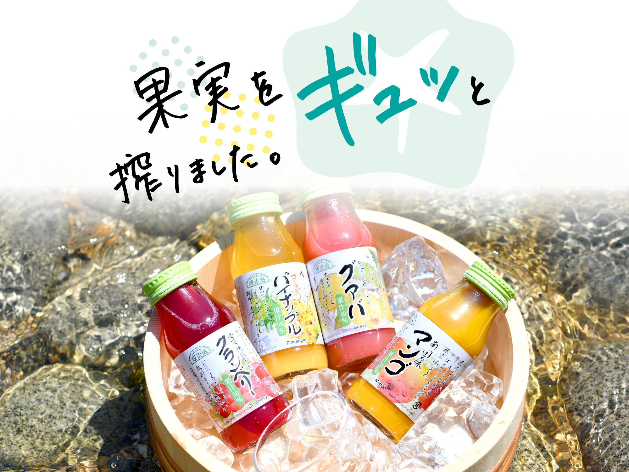順造選の夏ギフト